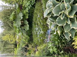 Nicola ALEXANDRE - ADN AGENCEUR DECORATEUR NICOLA